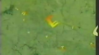 Lady In The Iron Mask 2003