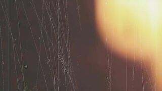 Lola Shine 3 On 1 Double Anal Gangbang