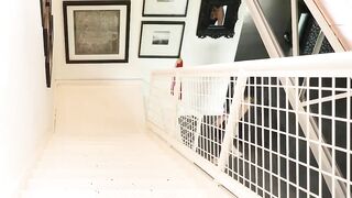 Lulu Chu taking 2 guys facials