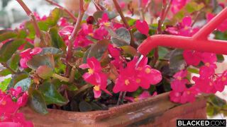 Purple Bitch vs Joss Lescaf